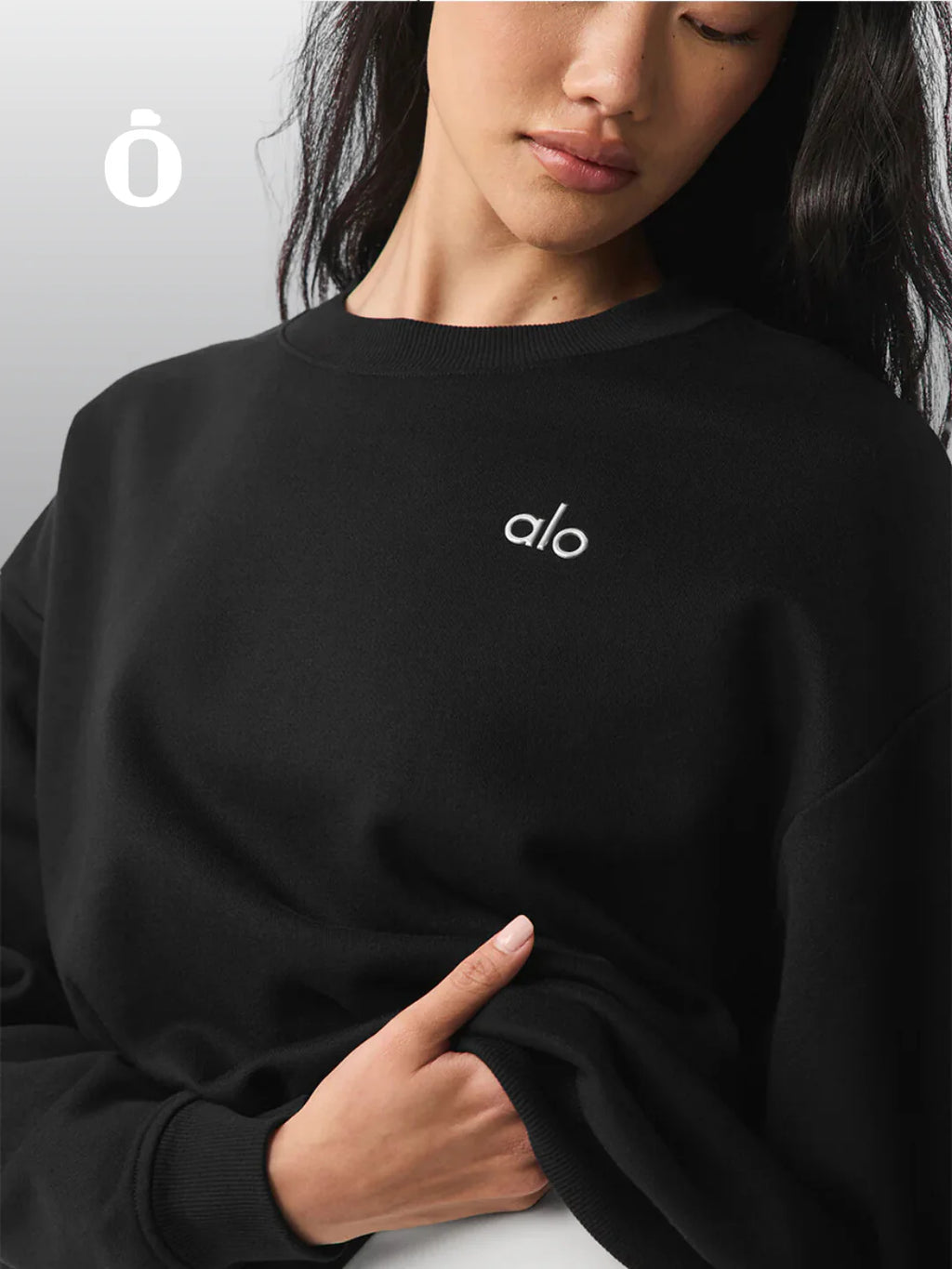 Accolade crew neck pullover